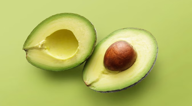Ripe Hass avocados growing on an avocado tree in Mexico.